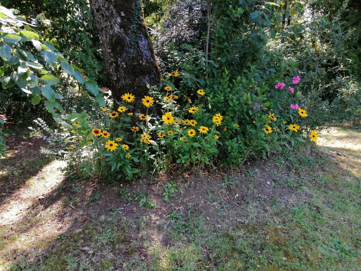 Cabañas Los Canelos Pucon, Hermosa Granja de 20 hectaréas a orillas del Río Liucura Exterior foto