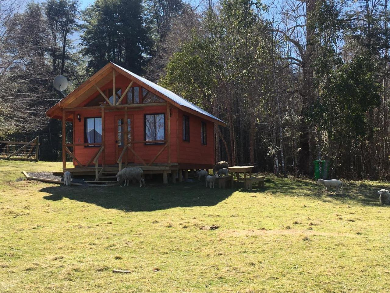 Cabañas Los Canelos Pucon, Hermosa Granja de 20 hectaréas a orillas del Río Liucura Exterior foto